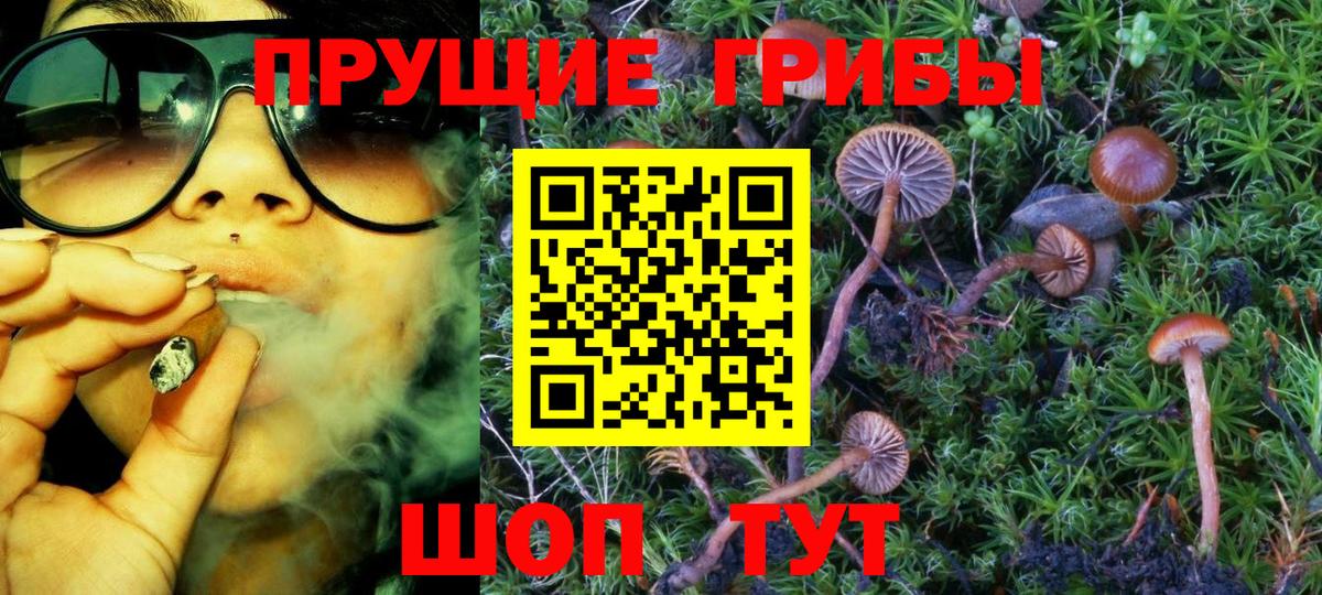 Псилоцибиновые грибы Cubensis  Вход с VPN  наркота  Нововоронеж  Псилоцибиновые грибы GOLDEN TEACHER 