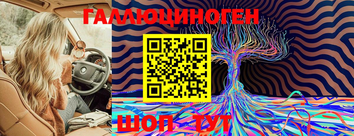 Псилоцибиновые грибы Psilocybe Нововоронеж