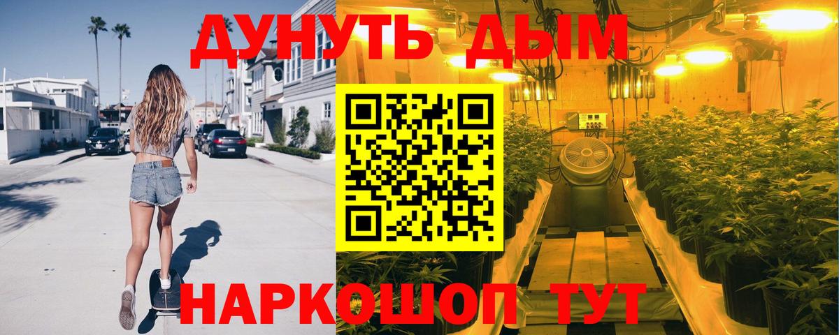 Каннабис Ganja  МАРИХУАНА планчик  Шишки марихуана план  Вход с VPN  Нововоронеж 